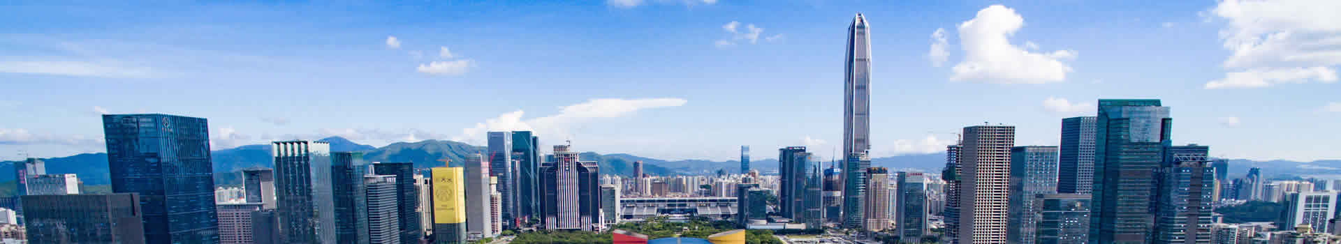 公司簡介
